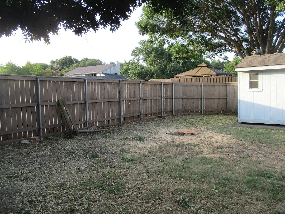 Cleared yard after professional tree removal in Sparks